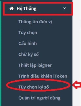 Tùy chọn ký số: Ký thông qua Trình điều khiển iToken. 