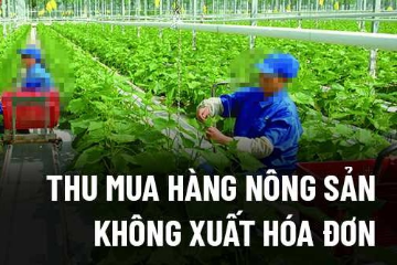 Thu mua hàng nông sản không xuất hóa đơn có được tính vào chi phí được trừ thuế thu nhập doanh nghiệp không?